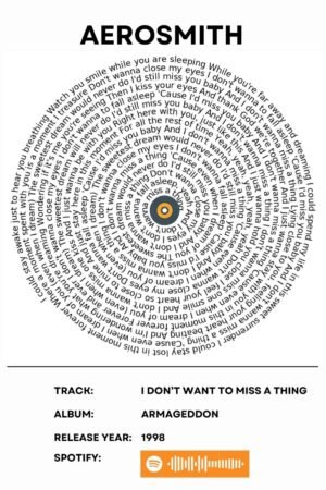 Aerosmith - I dont want to miss a thing