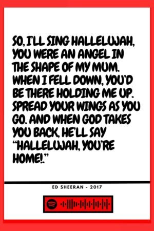 Ed Sheeran - Supermarket flowers