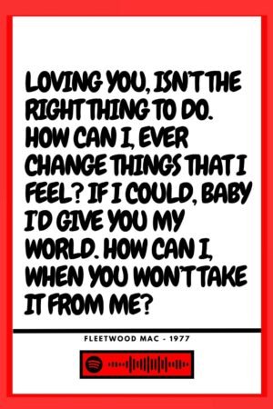 Fleetwood Mac - Go your own way