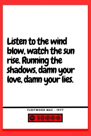 Fleetwood Mac - The chain