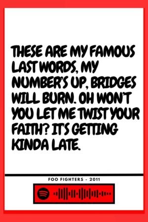 Foo Fighters - Bridge burning