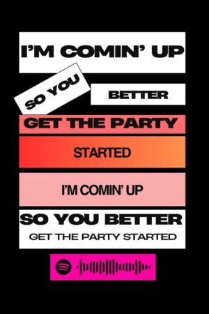 Pink - Get the party started