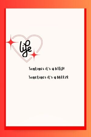 Stevie Nicks - Bitch (5)