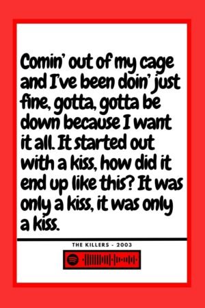 The Killers  Mr Brightside